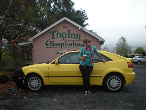 shelli shelli bordeaux